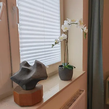 Schaake - Charmante Reetdachwohnung & Kostenfreier Parkplatz * هوكسيل