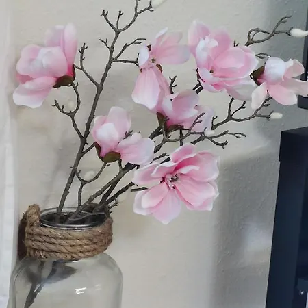 شقة Schaake - Charmante Reetdachwohnung & Kostenfreier Parkplatz